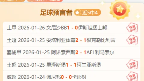 “网球赛场感人瞬间：德约跪地夺冠，薛晨强势回归，黄博凯首次闯入决赛，哪些画面让你难以忘怀？”